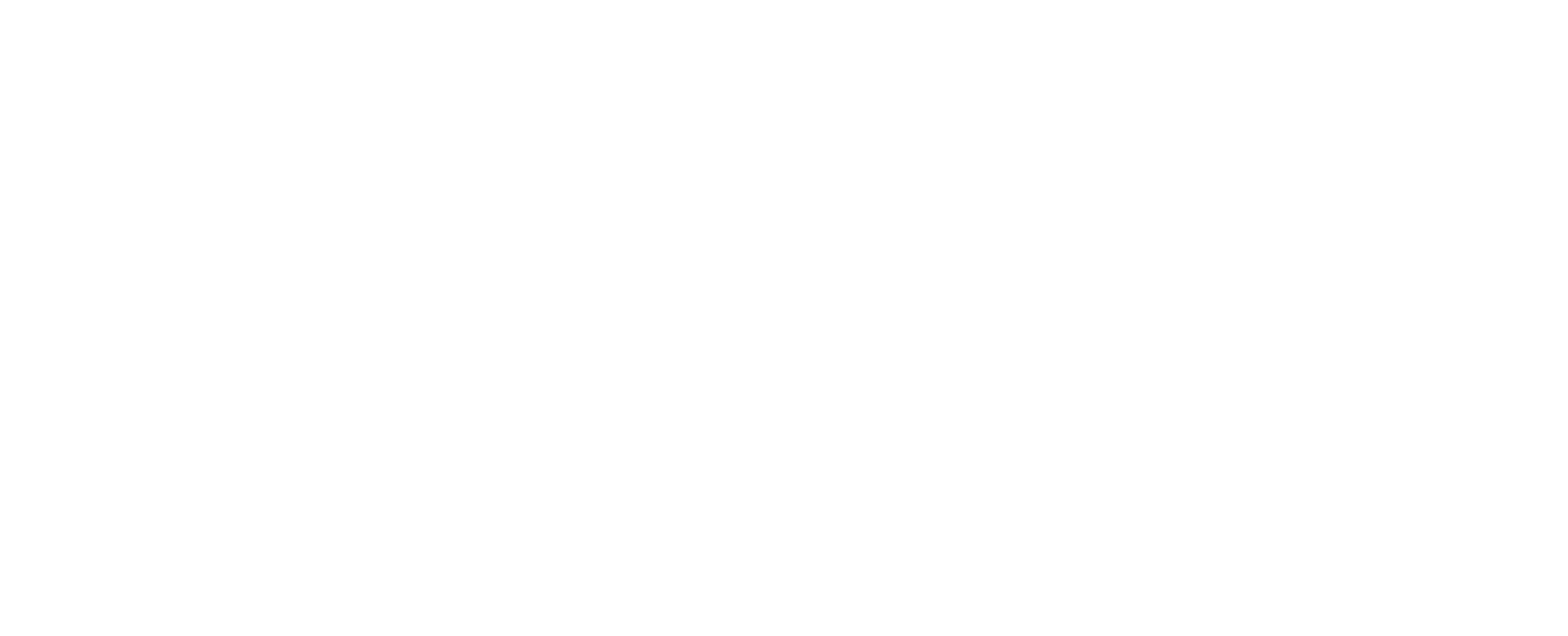 NITEPUNK